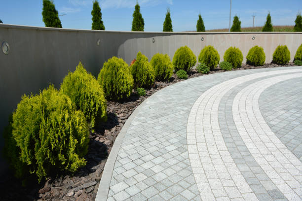 Best Driveway Paving Contractor  in Cedville, AR